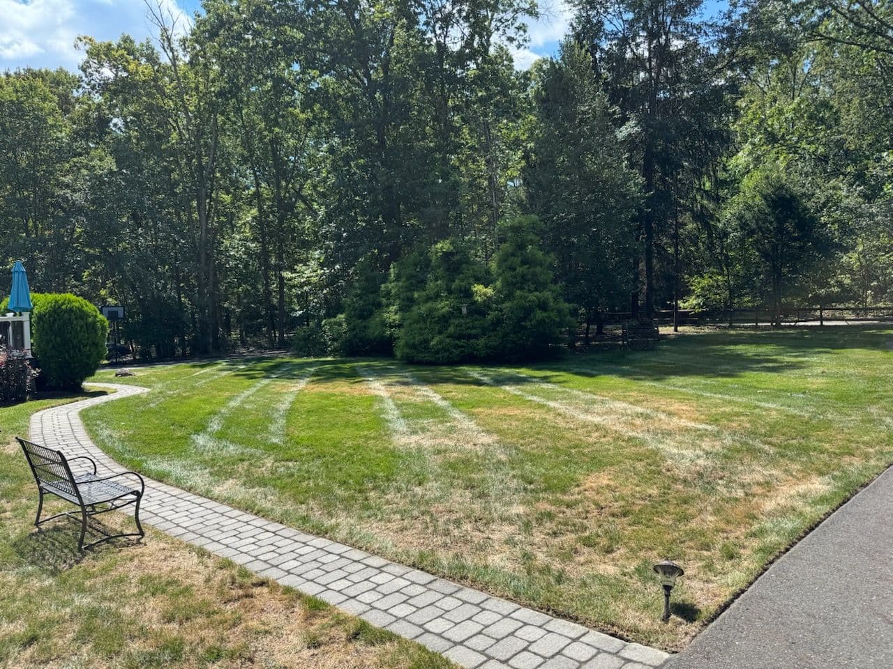 Transform Your Lawn with Expert Care