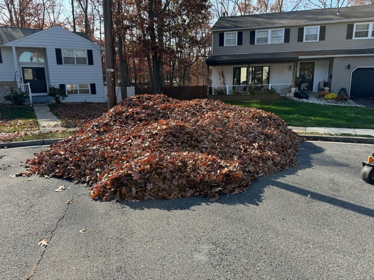 Expert Seasonal Cleanup in Washington Township