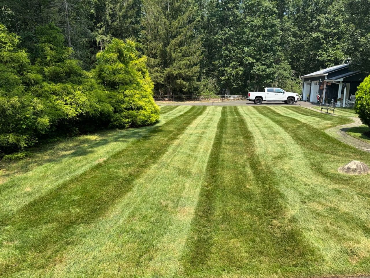 Project Lush Lawn Transformation with Perfect Stripes image