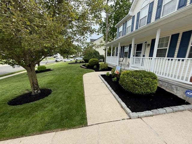 Transform Your Garden with Expert Mulching