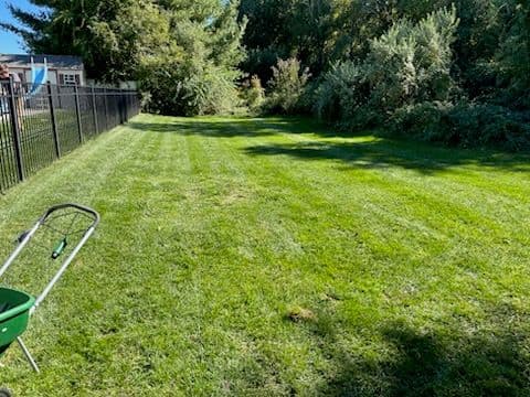 Gallery photos for Transform Your Lawn with J&J LawnCare Service: Image #1
