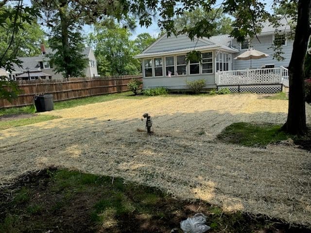 Gallery photos for Lawn Transformation with Regrading and Overseeding: Image #3