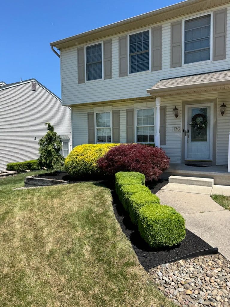 Stunning Landscape Transformation with Mulching image