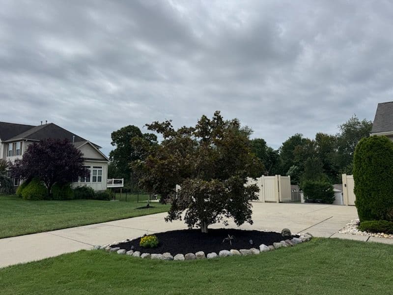 Stunning Mulching Revival Transforms Outdoor Spaces