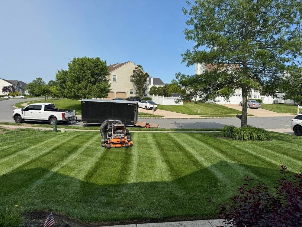 Lawn Care image